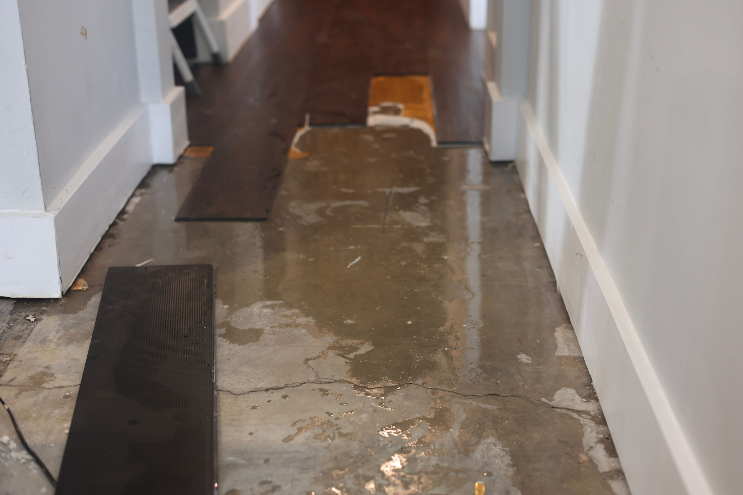 Signs of a Slab Leak Under My House